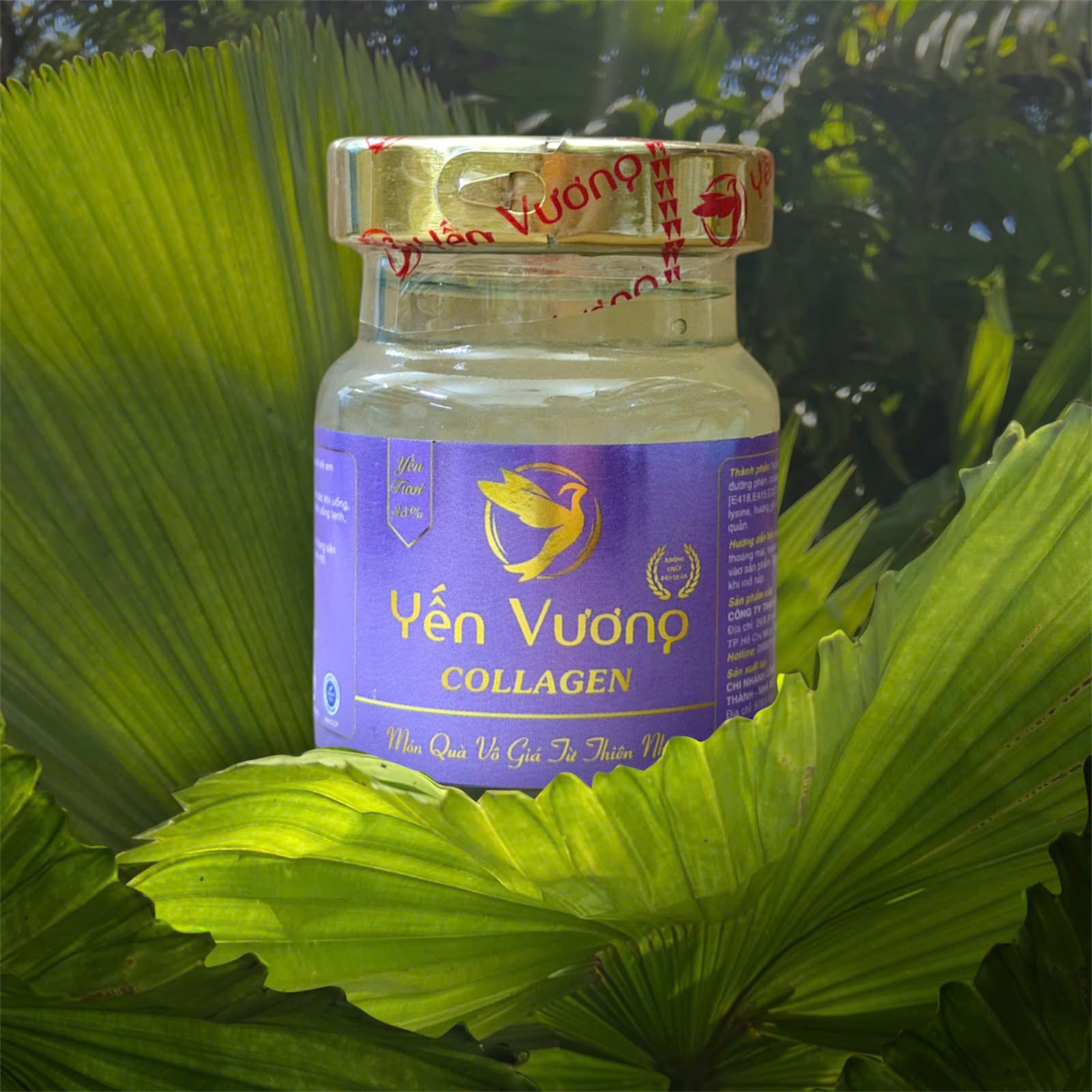 Hũ yến Vương 70ml Collagen